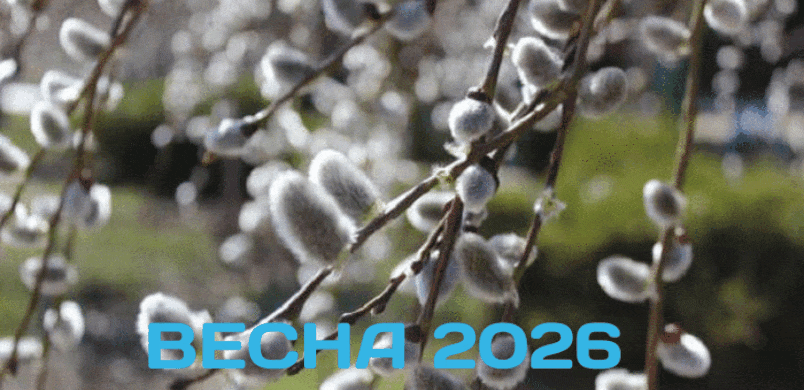 GIF-20260407-070213-360.gif