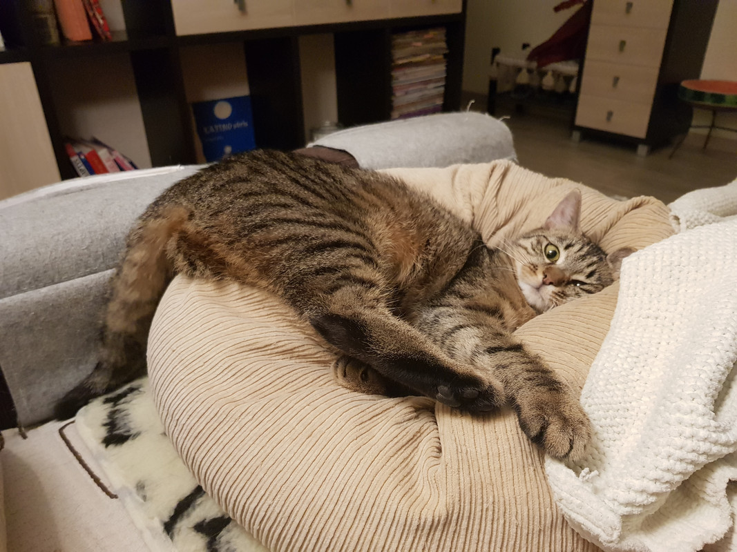 20190411-215023.jpg