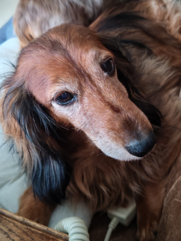 [Image: IMG-20241103-081140.jpg]