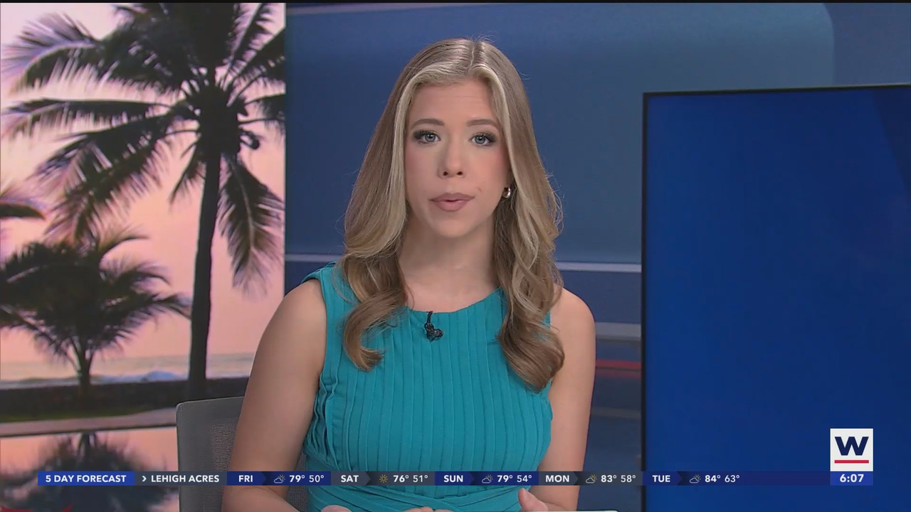 WINK News at 600am_20241206_11001130.ts_snapshot_08.33.028