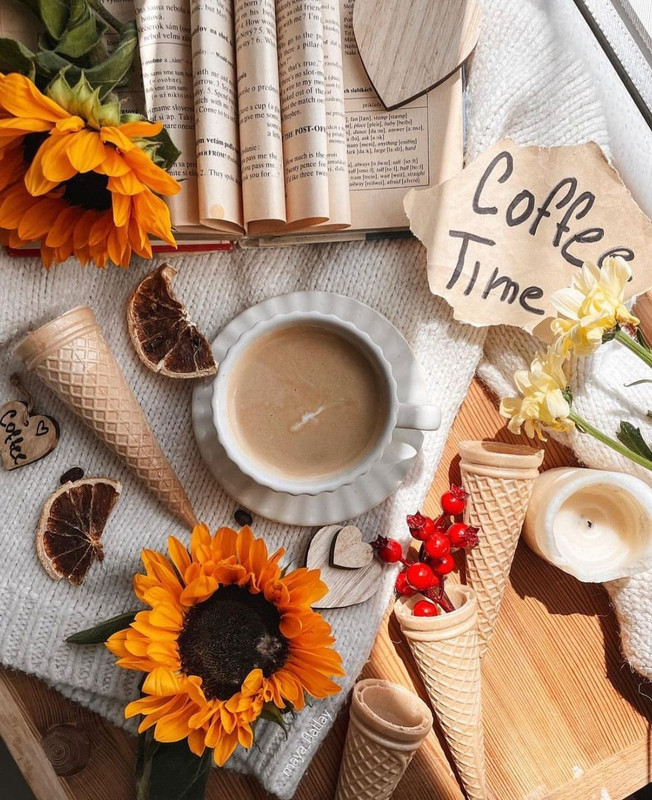 Screenshot_20231210_164327_Instagram