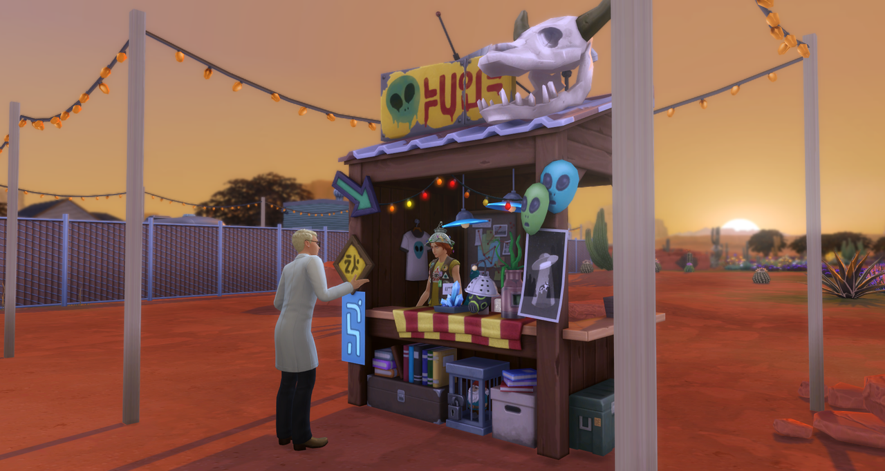 sunset-at-curio-shop-wolf.png