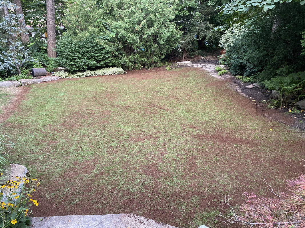 B5D06CB4-7912-4F52-95E2-86001274A105