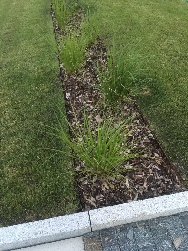 5E403486-B4A6-40C5-8868-48D75CAF47DB