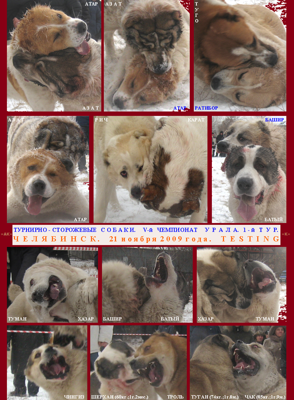 2009.11.21 5-й Турнир 1-й Круг ТСС Портреты ЛИСТ (7)