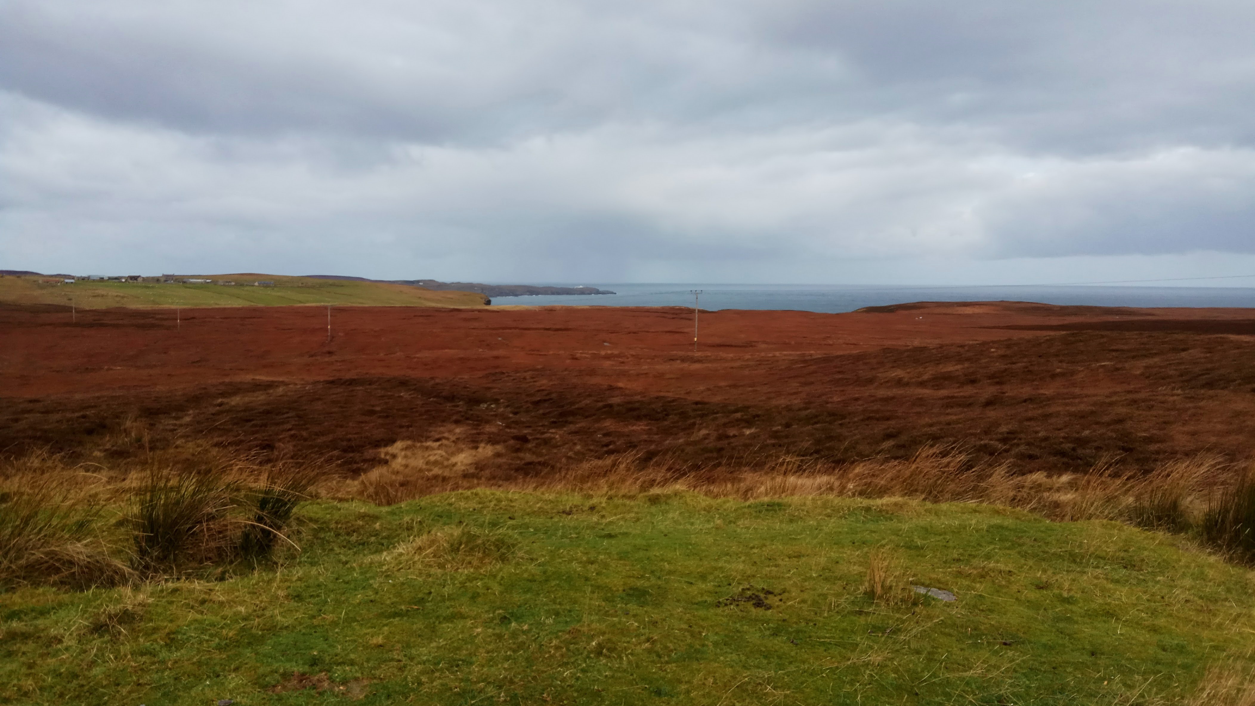 IMG-20171114-100026.jpg