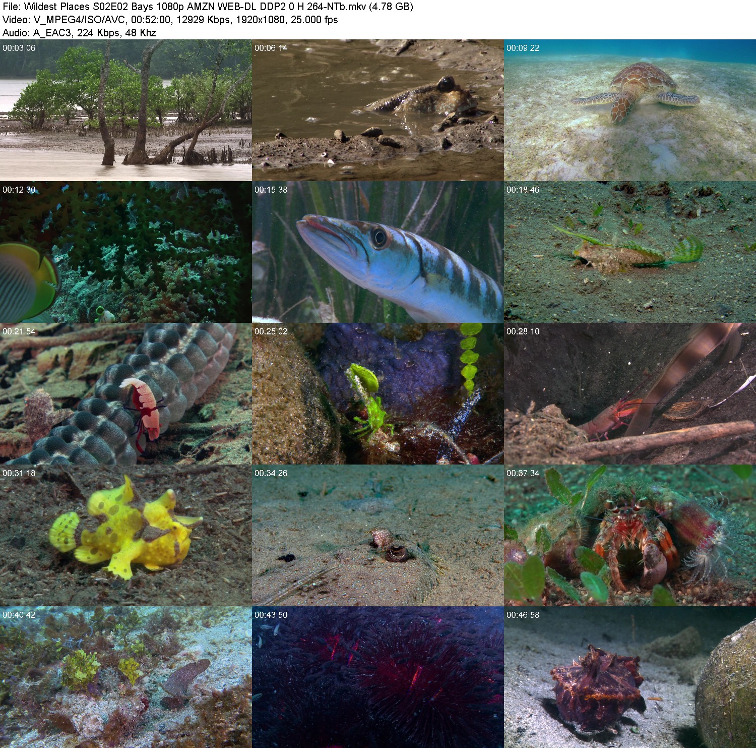 [Image: hv4sfy64jz9p.jpg]