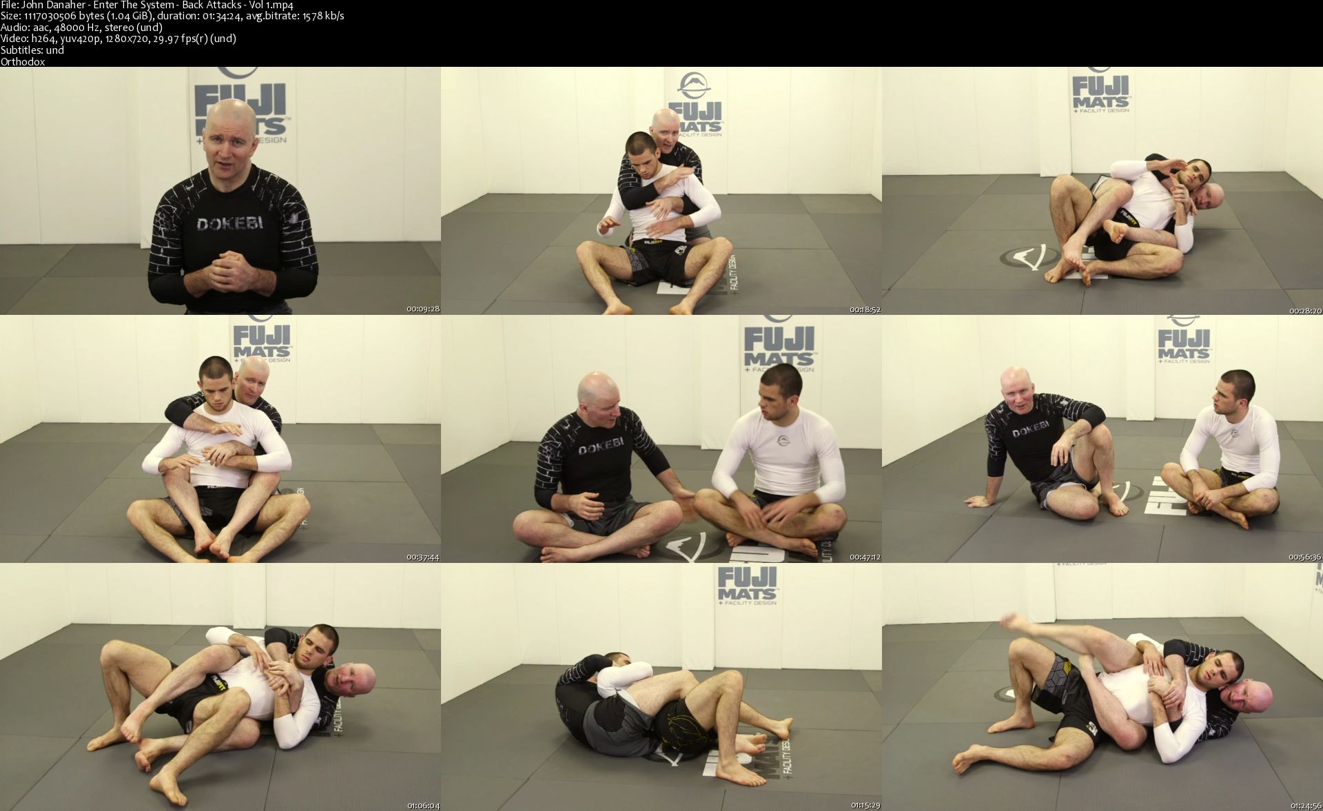 John-Danaher-Enter-The-System-Back-Attacks-Vol-1-s.jpg