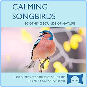 [Image: 30rg6iqqv5hx.png]