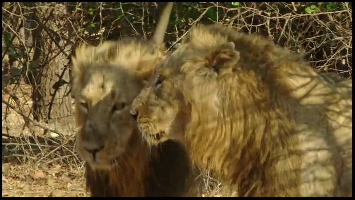 [Image: 486mevltazv2.png]