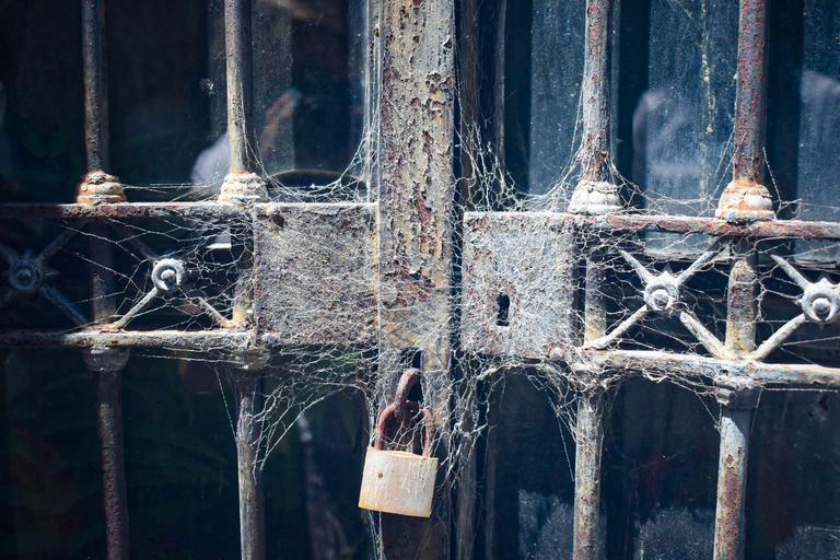 В джазе только девушки или аргентинско-бразильский калейдоскоп В джазе только девушки или аргентинско-бразильский калейдоскоп