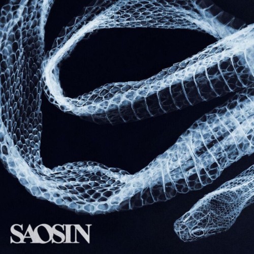 Saosin-Starting-Over-Again-SINGLE-WEB-20