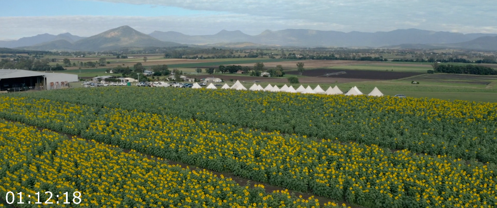 [Image: 8saqn2hf75gx.png]