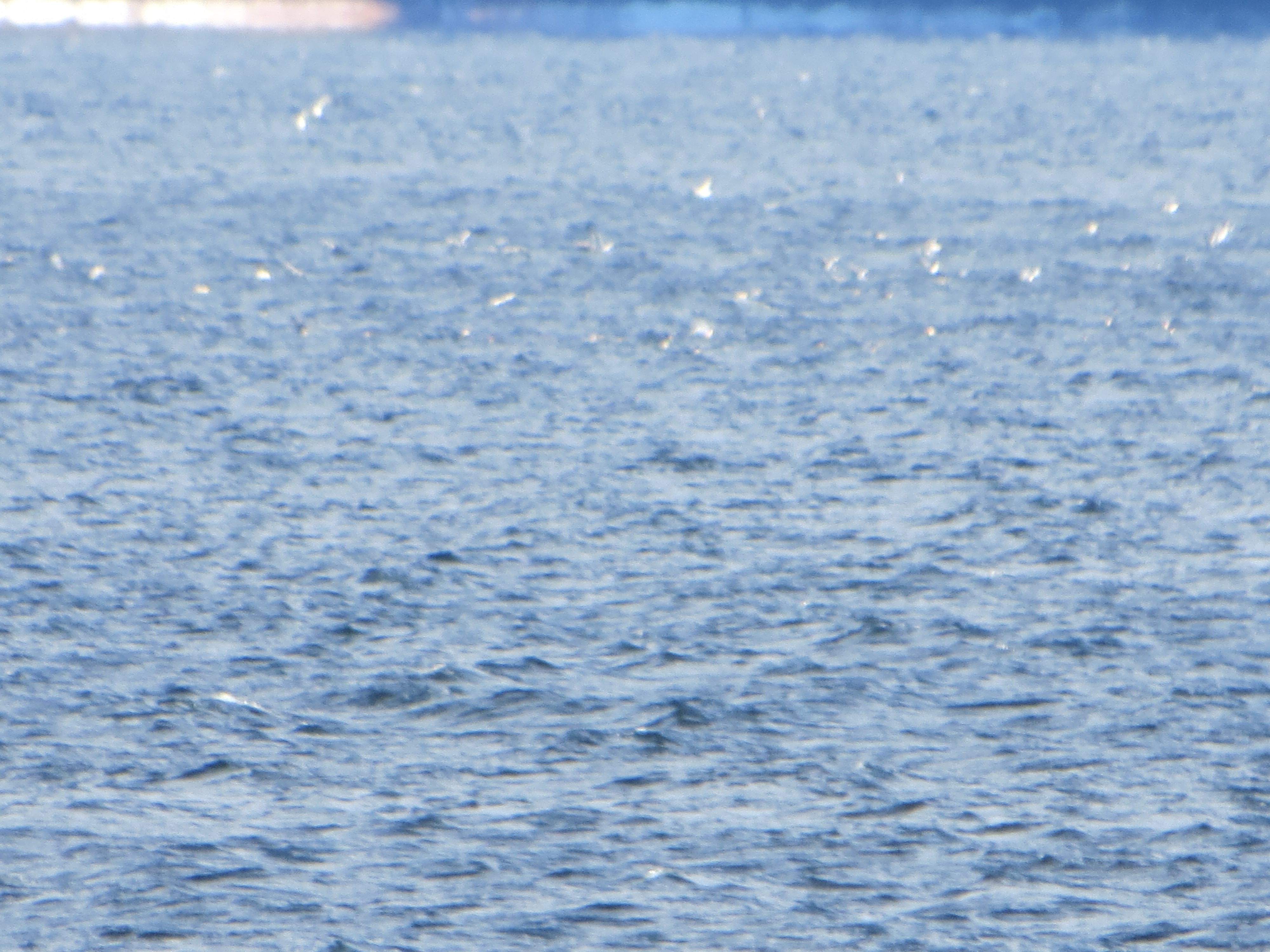 IMG 3241[1] — Postimages