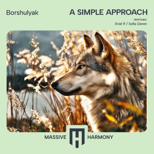 00-borshulyak-a-simple-approach-mhr681-w