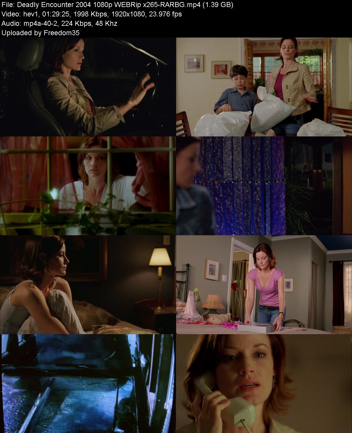 Deadly-Encounter-2004-1080p-WEBRip-x265-