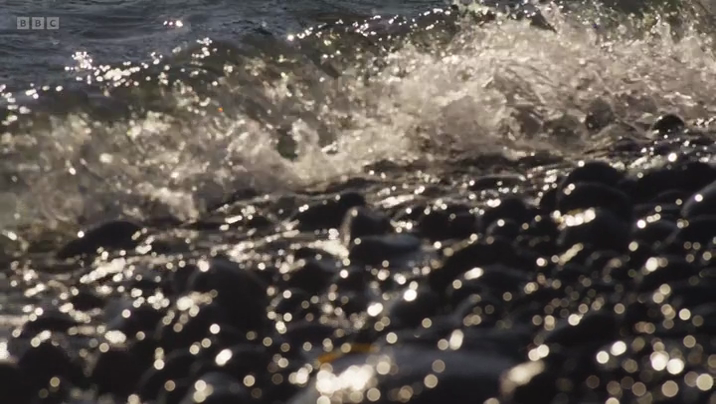 [Image: qiuv2je01p4s.png]