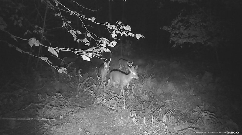 7C056884-9277-4646-8A12-42FD099B5D9E