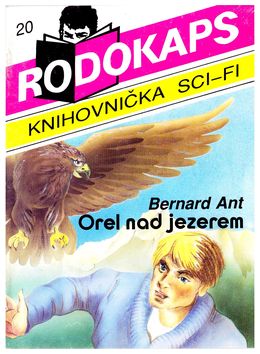 Obrázek