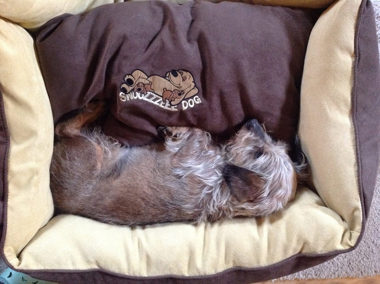 [Image: IMG-5340.jpg]