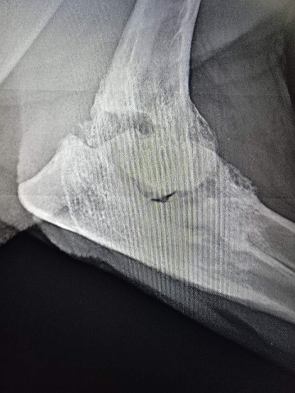 1846D4C5-9AA7-41BA-B77D-888C9E5F4C82