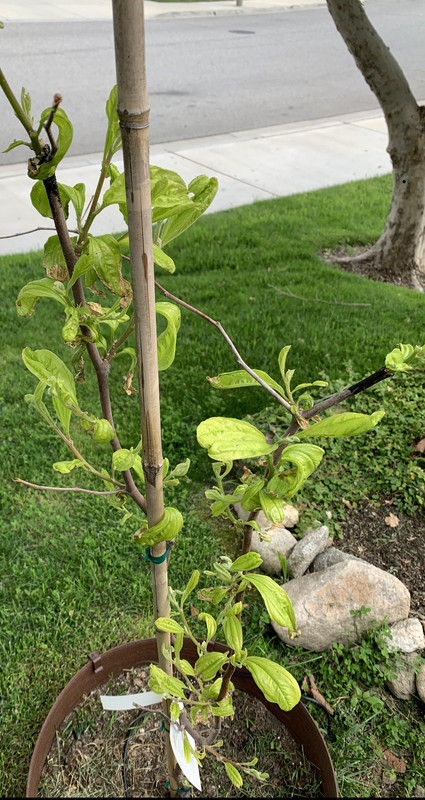 FE679B00-2199-4162-8FF9-0D772D30B4BC