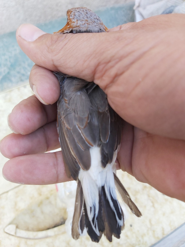 ٢٠١٩١٠٠٤_١٥١٦٠٣