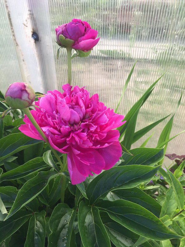 7D6DFB3C-0534-49BD-A56C-1675E6C368FB