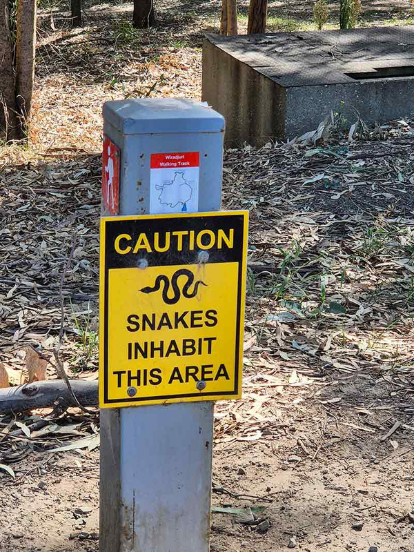 Thanks for the warning