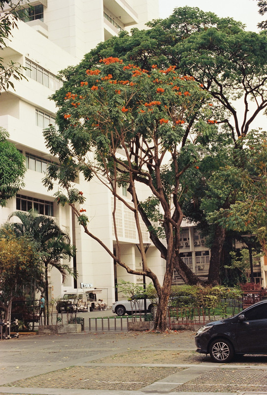 Vision3-250D-Spot-02