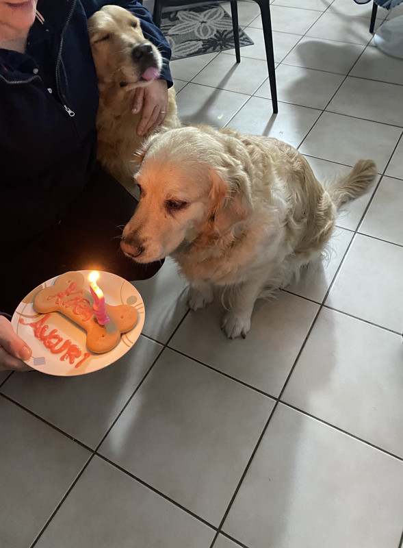 A2EA4E5E-A486-484D-BE11-83B92965FAF6