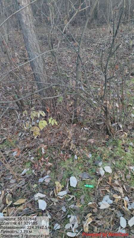 IMG 20251104 224631 362