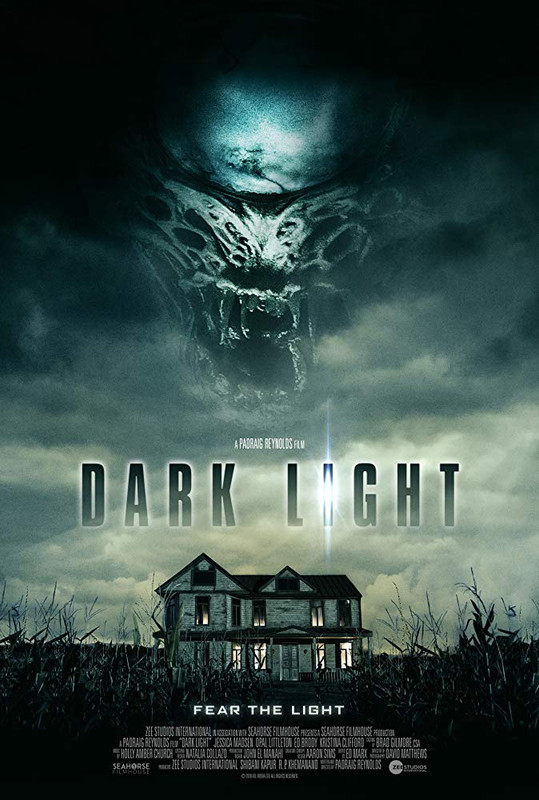 Dark Light (2019) English 720p WEB-HDRip 800MB Download