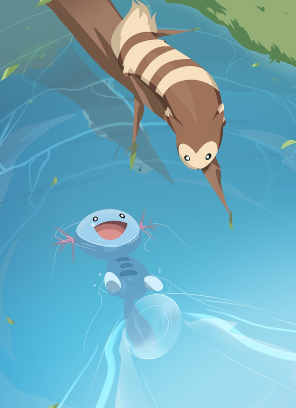 furret-and-wooper-pokemon-drawn-by-capta