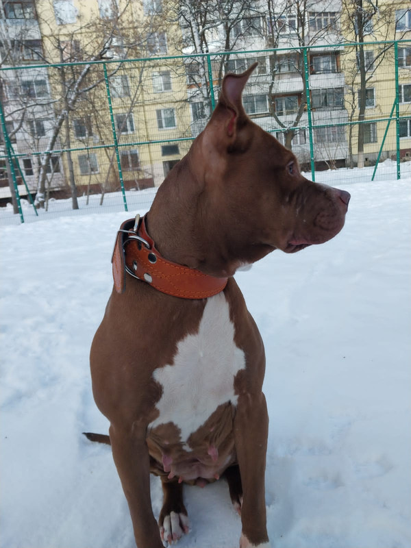 475E0F41-D98B-47AD-9B1F-CE5D3F729237