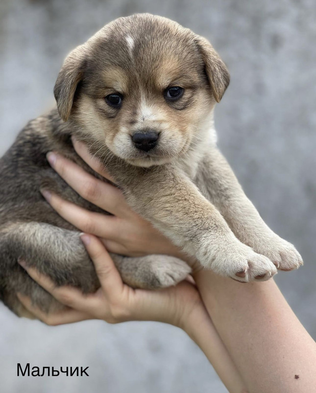 B6BC7785-2A33-4DC8-A1A6-F802A5C3692D