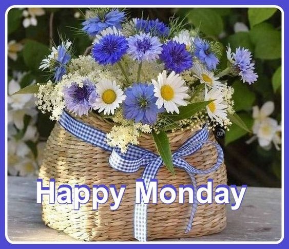 MONDAY-lundi-42