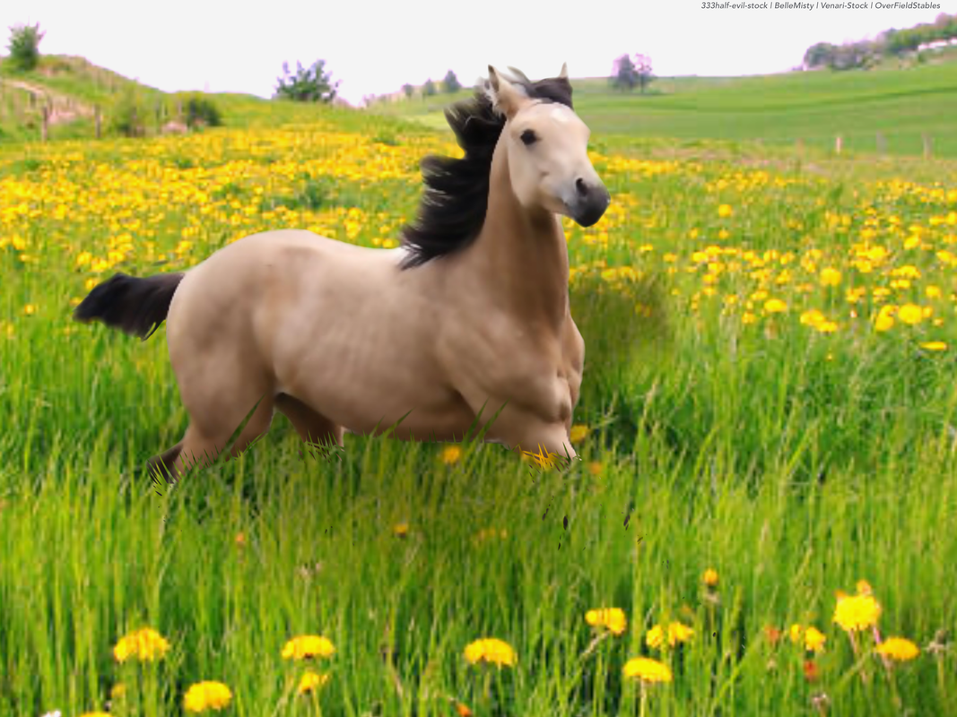 32BB14A7-6DCB-4117-8297-858A44C36E3F