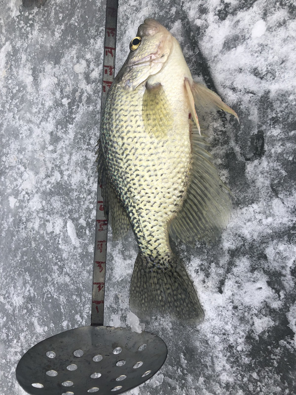 079C6203-2029-48D8-A4BE-BDD715A964C9