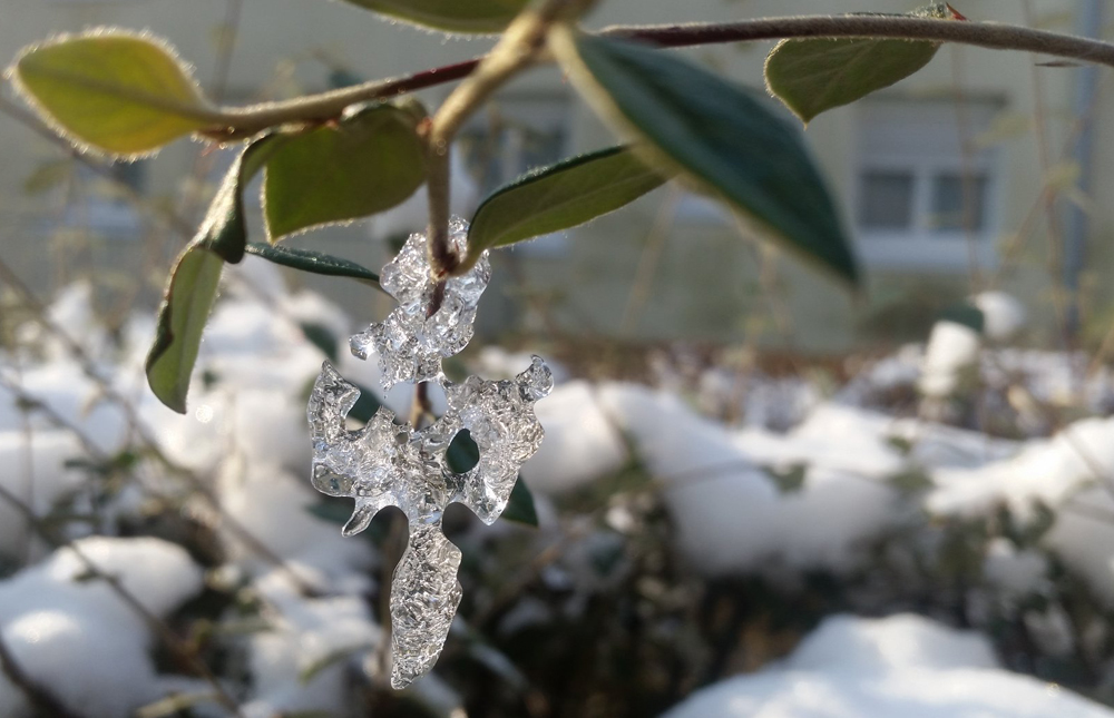 [Image: 27797387-712156475840142-1391559414701381573-o.jpg]