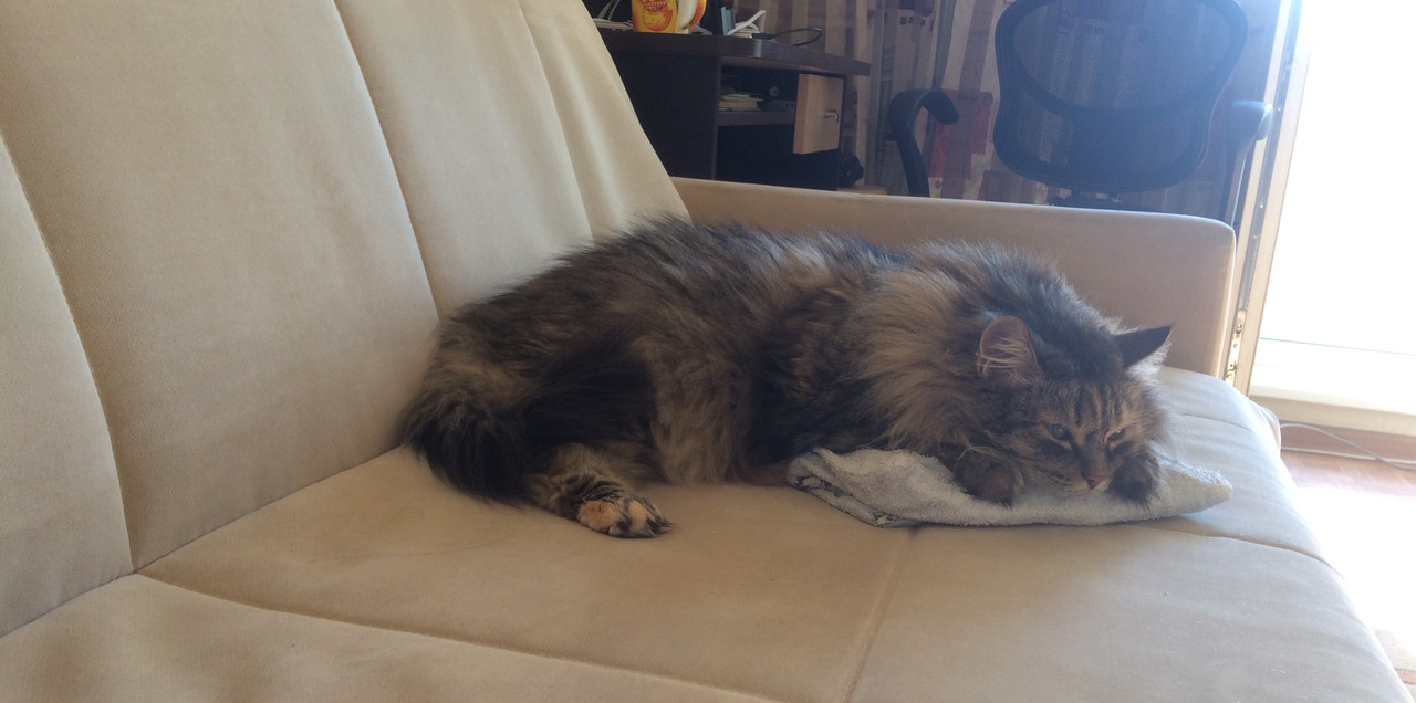 5A516E37-C471-4DC2-912A-77C3F16B78A5