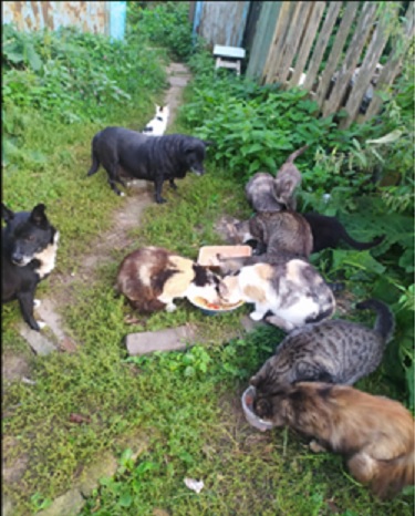 письмо беляновой4