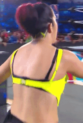 pr1.gif