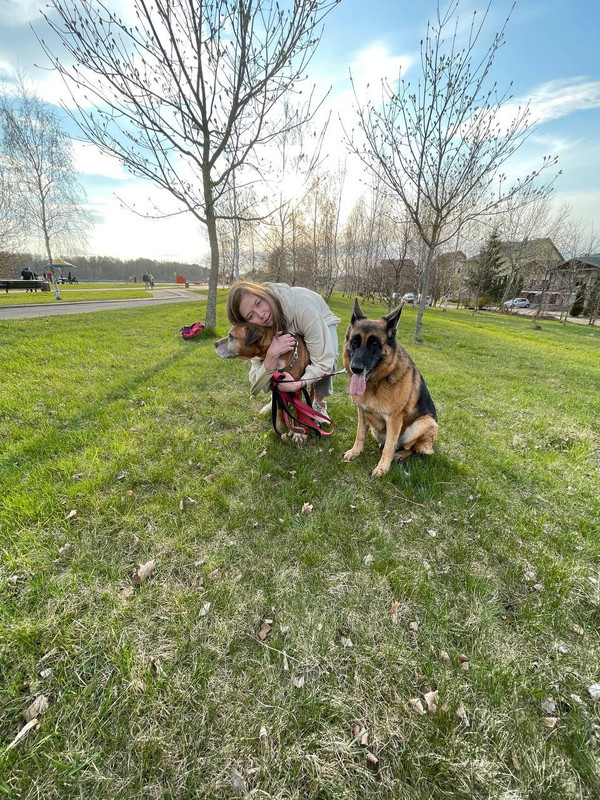 12102AA2-85D3-4386-8A32-73AC892C2756