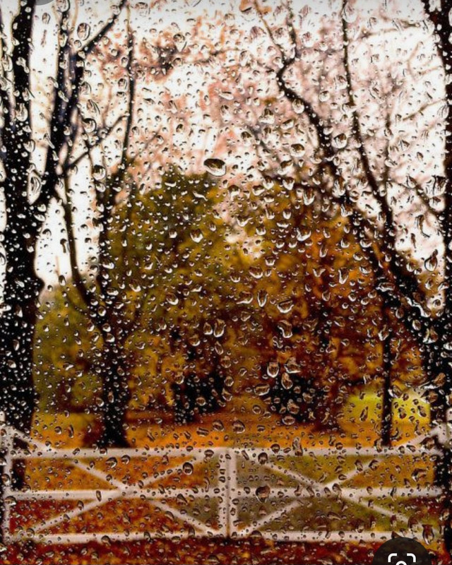 Screenshot_20231112_210058_Pinterest