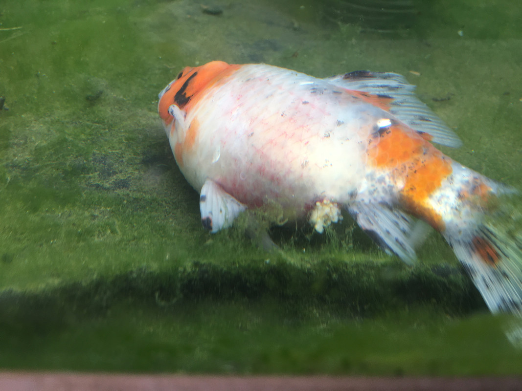 37004285-68C8-4861-AE6C-0731BEF5959A