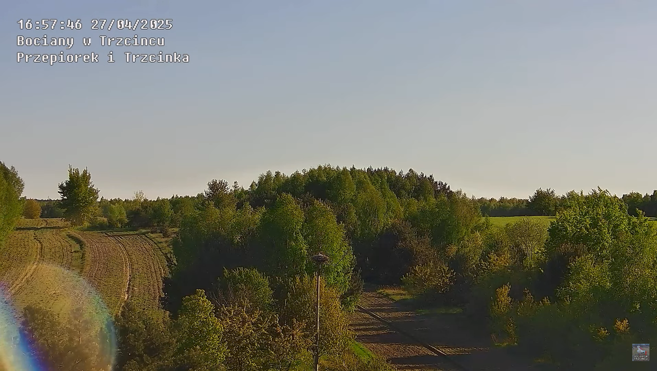 27042025bociany16