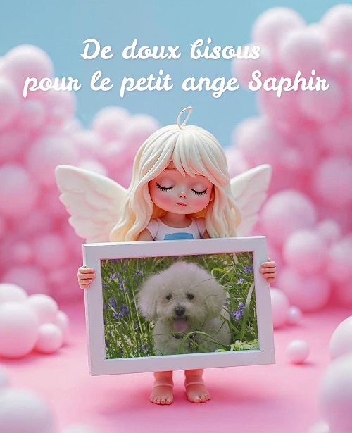 pixiz 02 12 2025 02 46 51