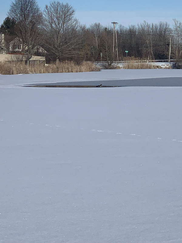 CF499AE2-84CF-4546-8691-C54082E42410