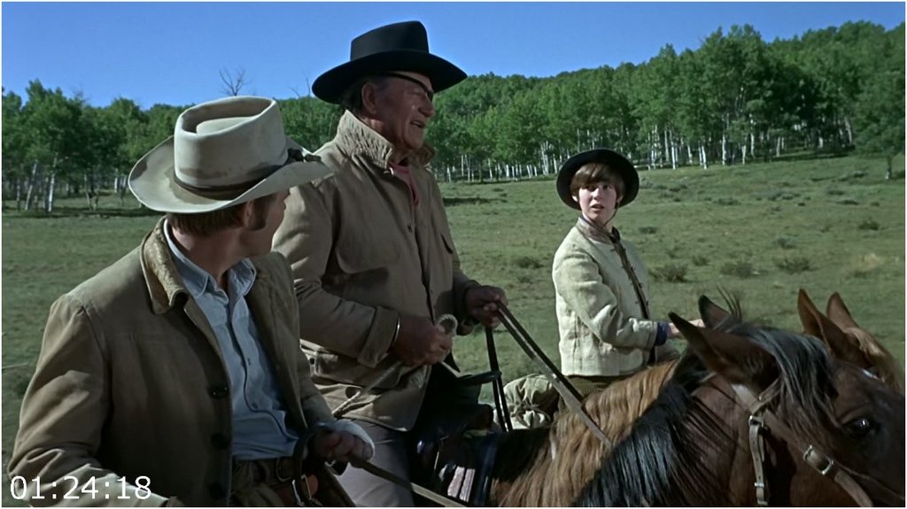 True-Grit-1969-FHDMastered-Hevc1080p-Blu-Ray-English-CZ-PHDTeam.jpg